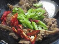 �ɹ�����ơ�Ƽ�������