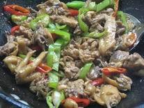 �ɹ�����ơ�Ƽ�������