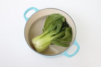 �㹽����������