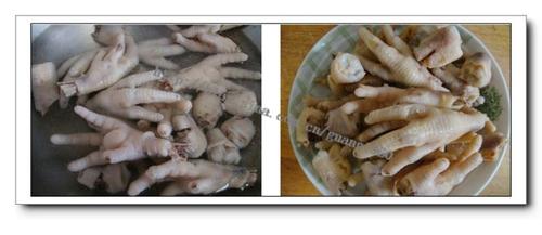 ������צ�ҵ�����