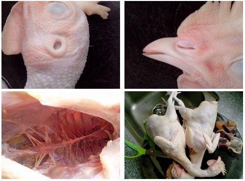 ��ݥ�Ҽ���������