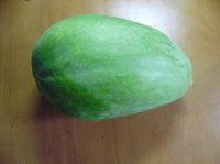 ��ľ���Ź���������