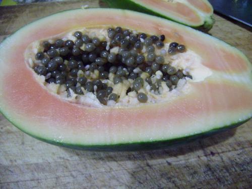 ��ľ���Ź���������