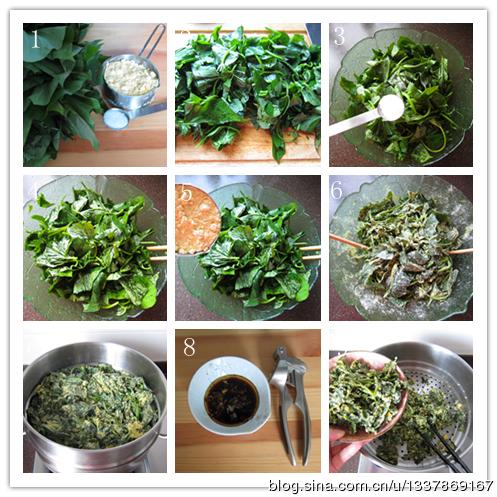 ���������ع�Ҷ������