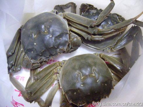 ����з������