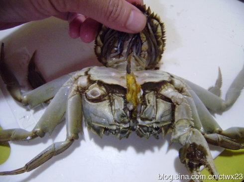 ����з������