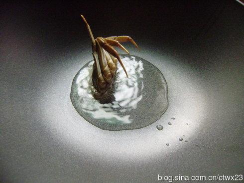 ����з������