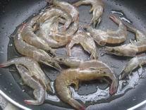 ��������Ϻ������