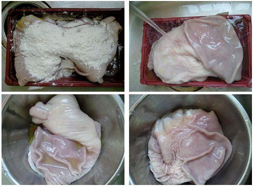 ���Ͷ̥������