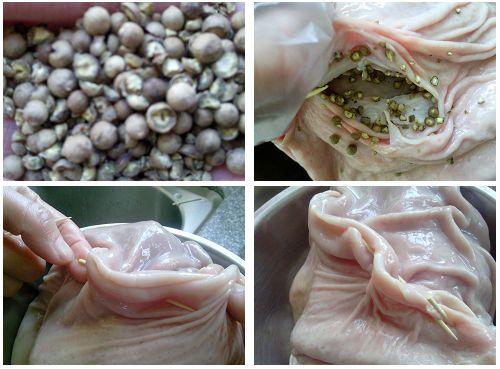 ���Ͷ̥������