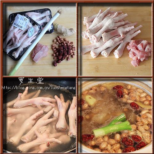 ���������ҷ�צ������