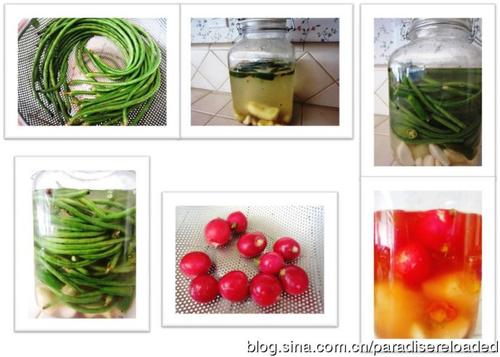 ��ζ�ݲ˵�����