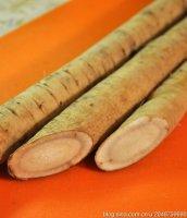 ɳ��ţ�������