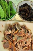 ɳ��ţ�������