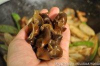 ɳ��ţ�������