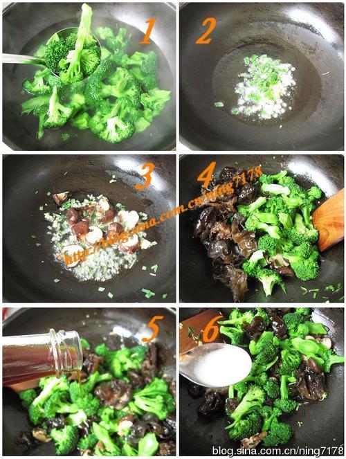 ��֭����������������