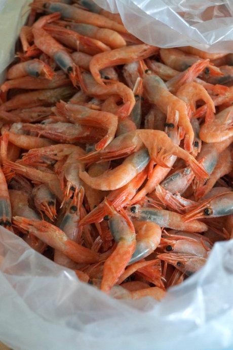 �ͱ�����Ϻ������