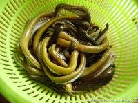 ��������������