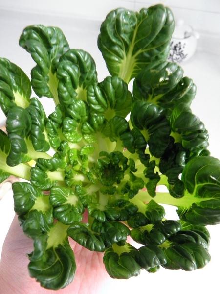 �ݹ������˵�����