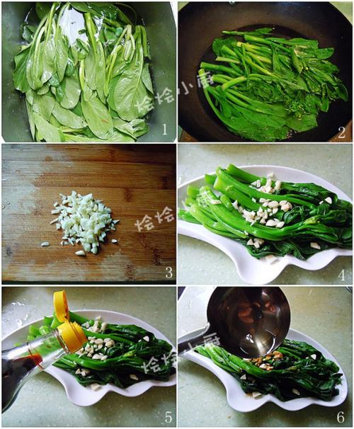 ���Ʋ��ĵ�����