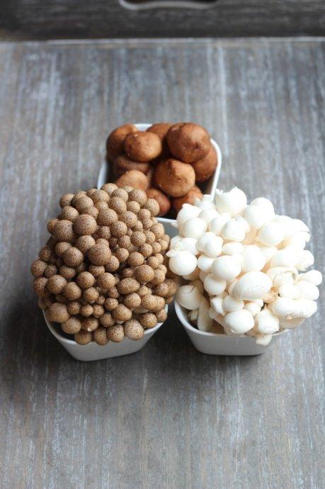 Ϻζ�ͽ�Ģ��������