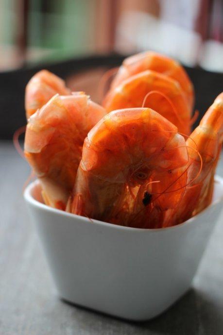 Ϻζ�ͽ�Ģ��������