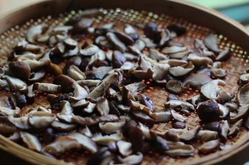 Ϻζ�ͽ�Ģ��������