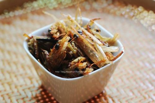 Ϻζ�ͽ�Ģ��������