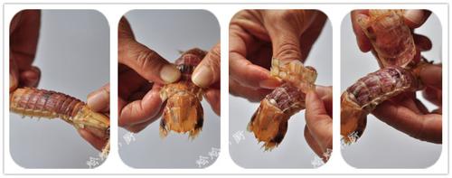 清焗濑尿虾的做法