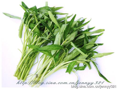 ��˿����ͨ�˵�����