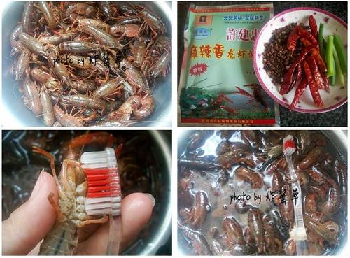 ����С��Ϻ������