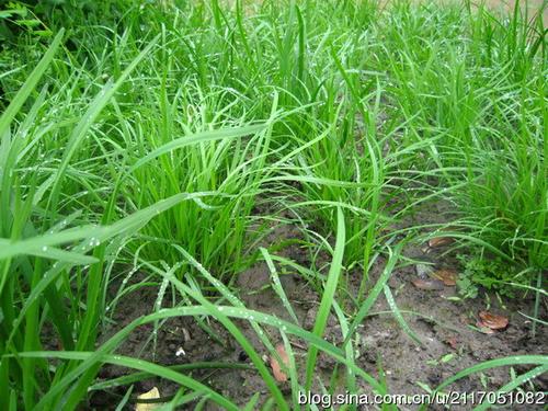 �峴�²˵�����