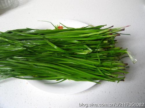 �峴�²˵�����