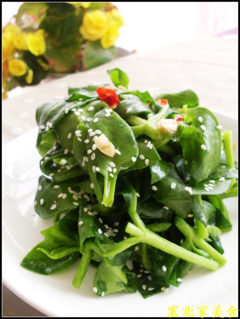 Ǻ�贩����������