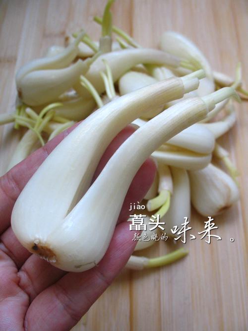 ˊͷ���㳦������