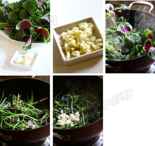 �����Ȳ˵�����