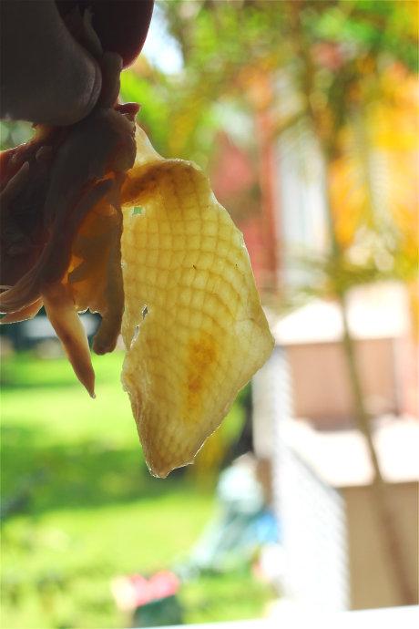 ��˺����м�������