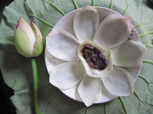 ��ը�ɻ�������