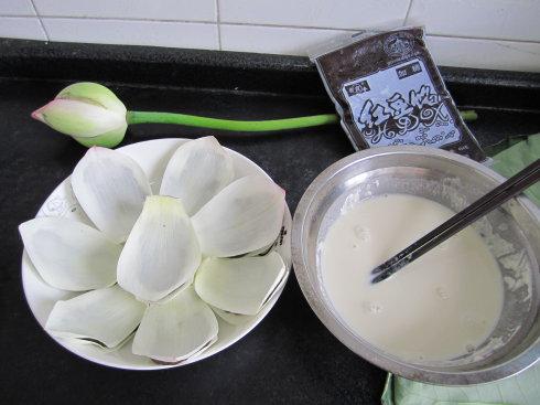 ��ը�ɻ�������