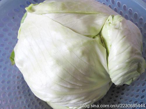 ������˵�����