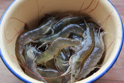 ���Ϻ�ʵ�����