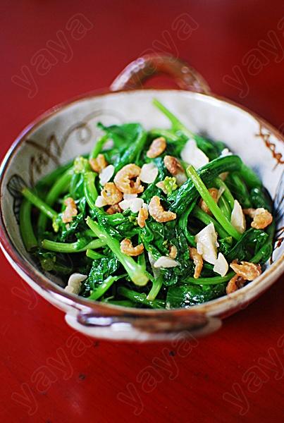 �����Ͳ�̦������