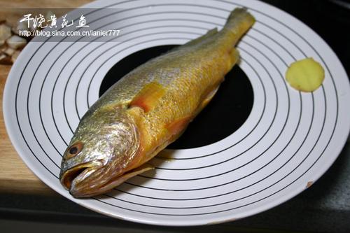 ���ջƻ��������