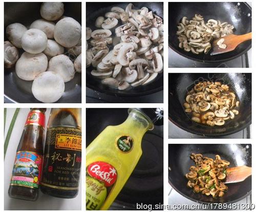 ���տ�Ģ������