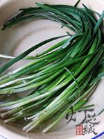 ���贺�µ�����