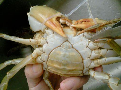 ��������з������