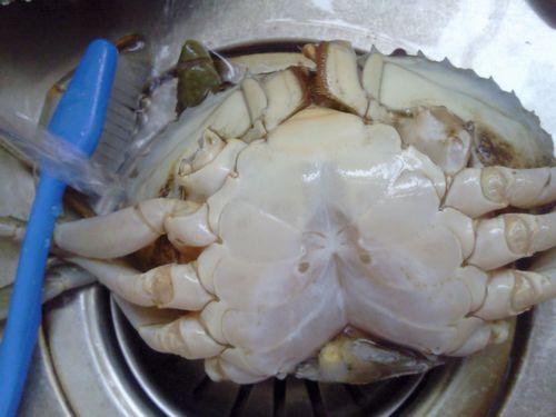 ��������з������