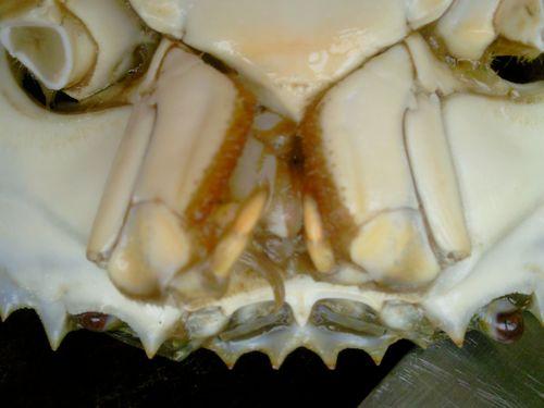 ��������з������