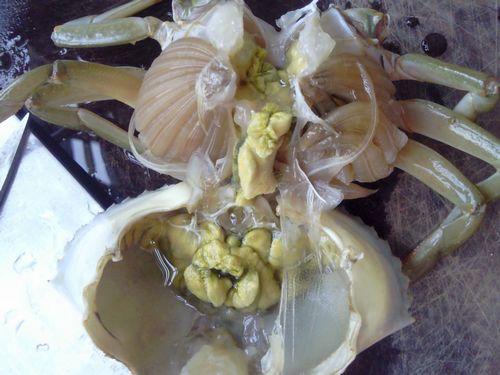 ��������з������