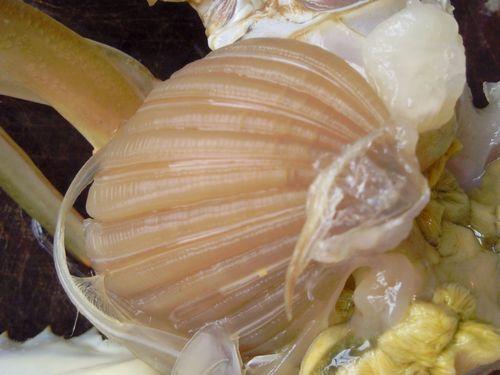 ��������з������